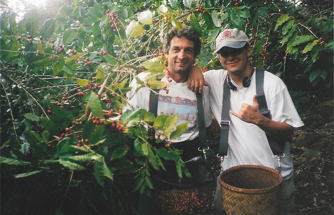 Kona Coffee Harvest