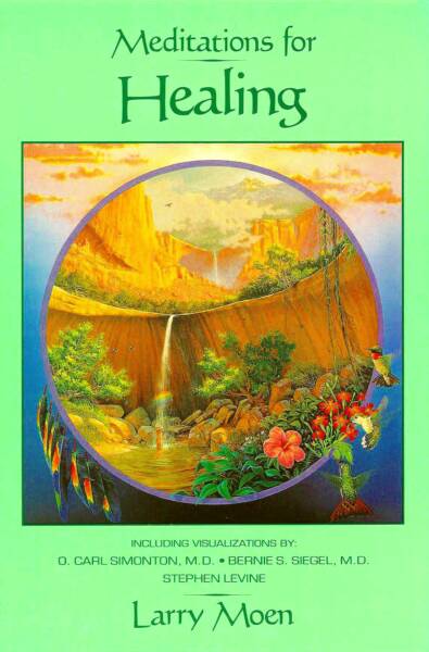 Meditations for Healing by Larry A. Moen photo